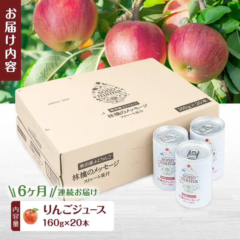 《 定期便 6ヵ月 》りんごジュース「sonomama」（160g×20本）りんご リンゴ ジュース リンゴジュース 飲料