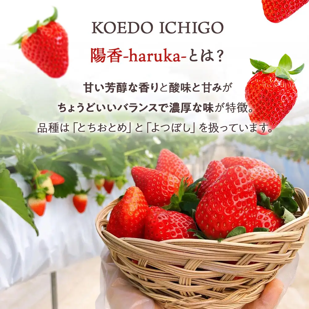  ＠FARM　いちごのパウンドケーキ3個セット