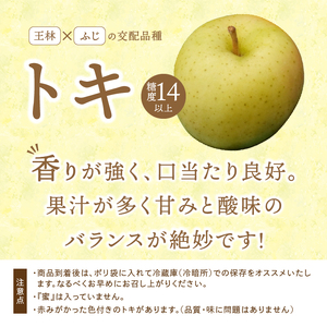 お試し用 江刺りんご 「トキ」 6個 【冷蔵】 [AQ091]
