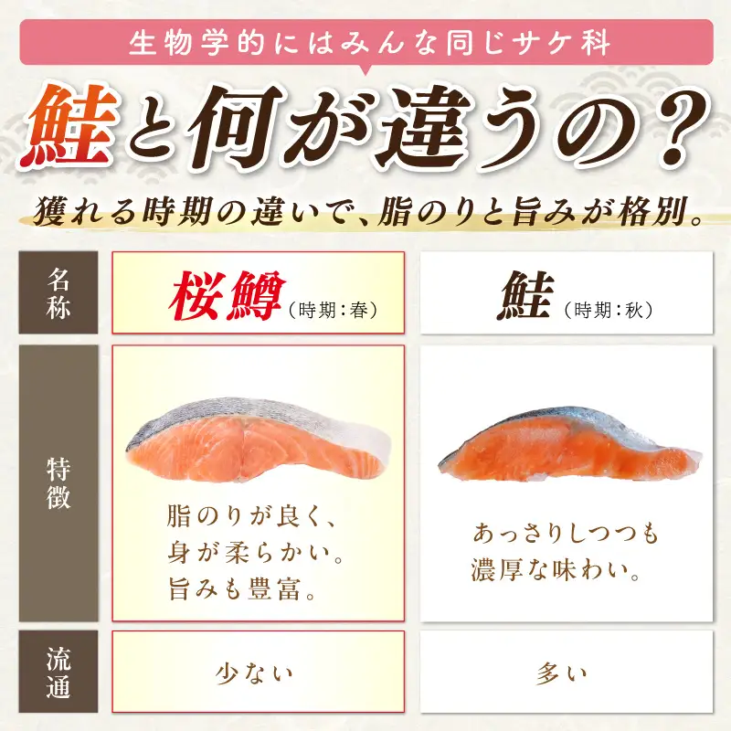 サーモン サクラマス 切り身 1kg 北海道 オホーツク産 桜鱒 鮭【094-0083】