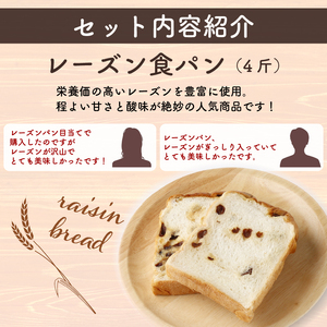 3回 定期便 レーズン食パン 海洋深層水食パン 4斤 [ロマンド 高知県 rm009]