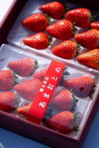 先行予約 化粧箱入り 宇城市産 あまおとめ 約600g（約300g×2パック）【NAGATA FARM】【2025年1月上旬～3月下旬発送予定】合計600g 果物 くだもの フルーツ 果実 苺 いちご イチゴ