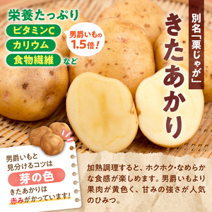 北海道産 じゃがいも きたあかり 5kg きたあかり 芋
