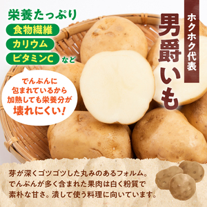 北海道産 じゃがいも 男爵 10kg  じゃがいも 男爵芋