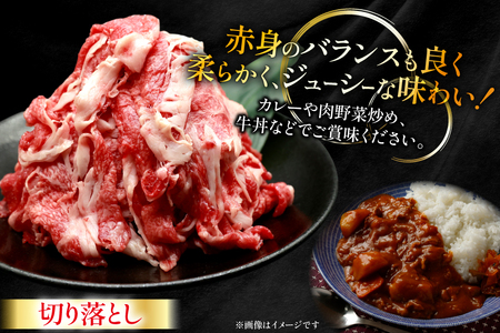牛肉 宮崎牛 切り落とし 500g 4p 計 2kg