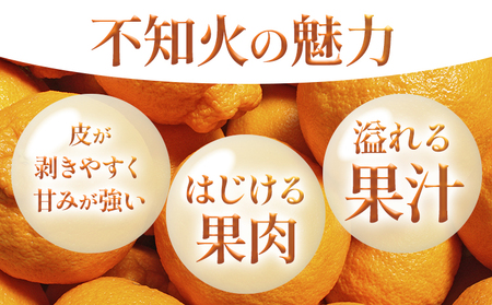 不知火 約2kg しらぬい 日本フルーツ株式会社 デコポン
