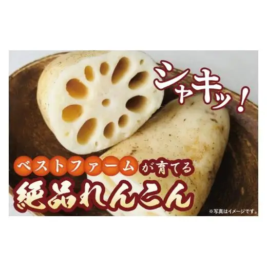 れんこん 4kg 蓮根 レンコン 野菜 エコ栽培 国産 茨城県産 茨城県 阿見町 新鮮 農家直送 産地直送 （89-02）