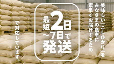 ＼ 最短 2日で発送 ／ コシヒカリ 15kg 令和6年産精米【 数量限定 】茨城県つくばみらい市産 米 コメ 単一米 36000 茨城県産 国産 即納 スピード配送 すぐ届く 発送 早い 即発送 コスパ こしひかり