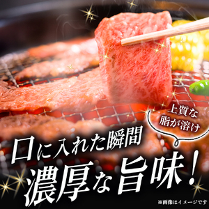 【A5等級】宮崎牛特選霜降り焼肉 1.6kg（400g×4P） 宮崎牛 ブランド牛 和牛 牛肉 焼肉 特選和牛 霜降り A5 宮崎県 小林市