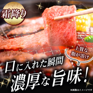 【A5等級】宮崎牛 特選焼肉セット 計1.6kg（赤身・霜降り） 宮崎牛 ブランド牛 和牛 牛肉 焼肉 特選和牛 霜降り A5 宮崎県 小林市