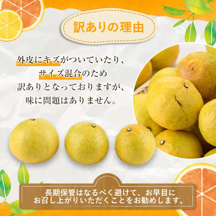 ＜先行予約受付中！2027年2月上旬以降順次発送予定＞訳ありはるか(約10kg) 国産 鹿児島県産 果物 フルーツ 柑橘 みかん はるか【松永青果】akn053-45