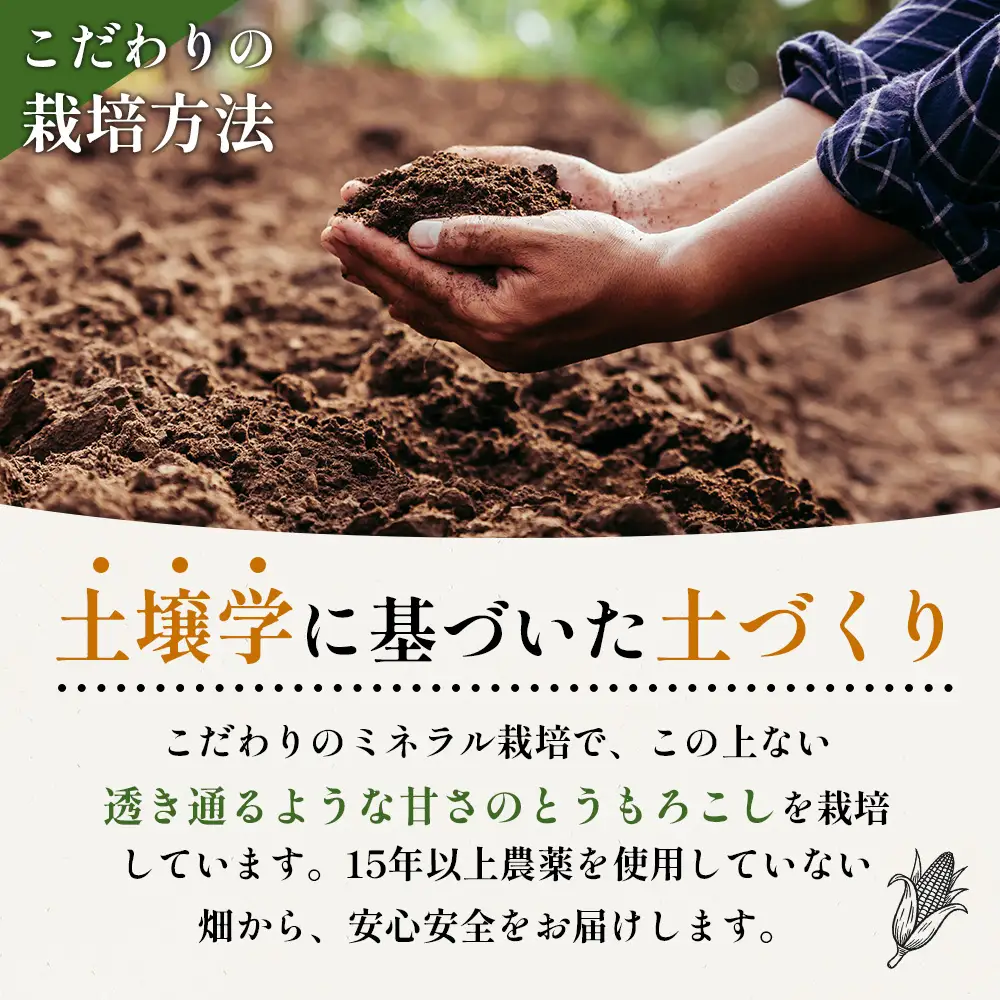 【2026年度発送分】上原農場直送 有機栽培とうもろこし (サニーショコラ) 約10kg 約20本前後【6602001】
