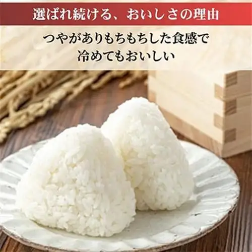 【数量限定・訳あり】令和7年産福島県小野町産ひとめぼれ10kg(5kg×2袋)福島県の美味しいお米【1629174】