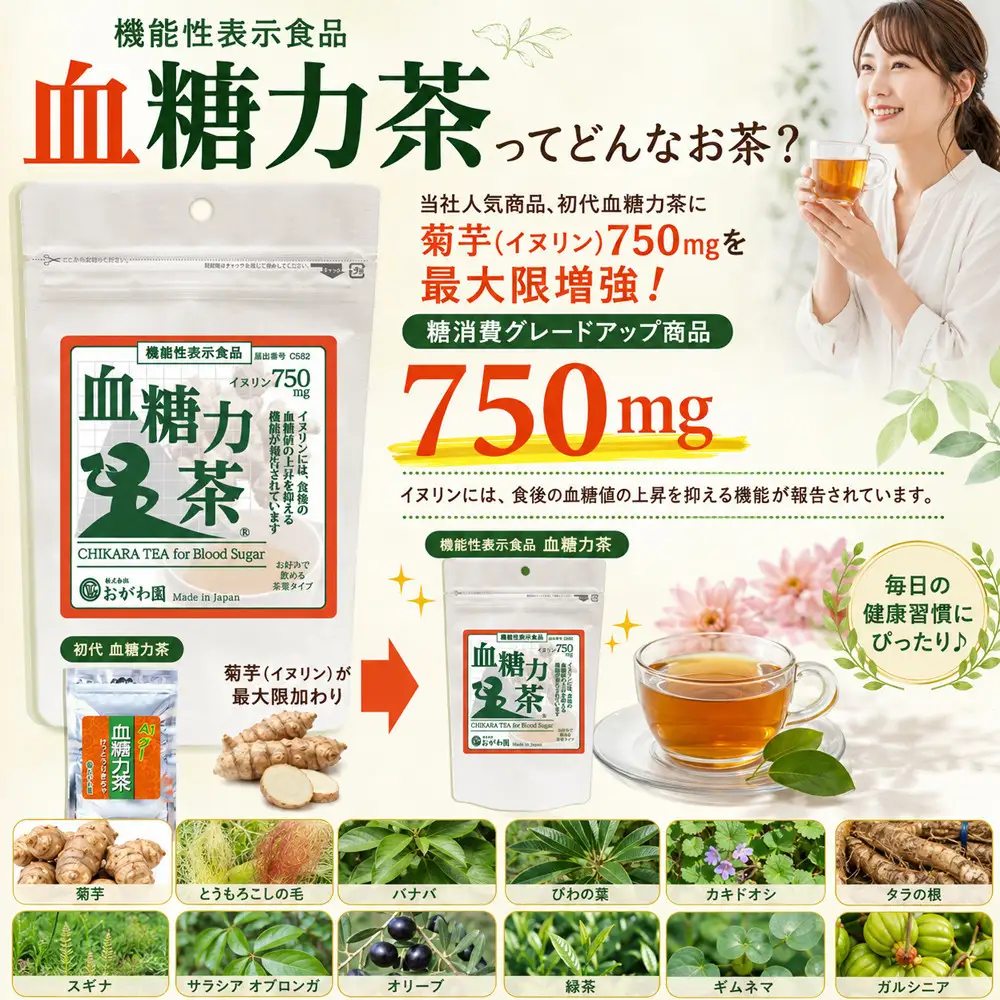 機能性表示食品　血糖力茶
