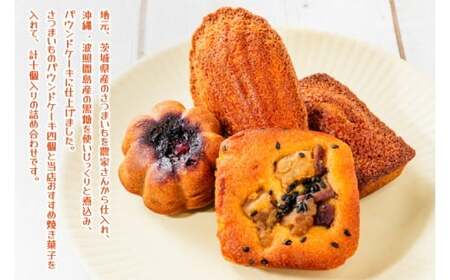 【２ヶ月定期便】焼き菓子10コ詰め合わせ【菓子 洋菓子 デザート ギフト スイーツ 贈り物 詰め合わせ 定期便 鹿嶋市 茨城県】 (KCX-16)