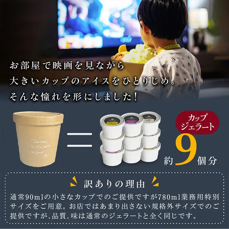 COZAB GELATO 訳あり 大容量 ひとりじめサイズ 6個セット アイスクリーム アイス ジェラート 山形県 山形市 FY25-277