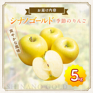 季節のりんご『 シナノゴールド 』（５ｋｇ）（予約制）（ シナノゴールド  林檎 ）