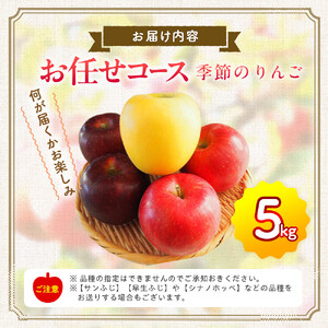 季節のりんご 『お任せコース』（５ｋｇ）（予約制）（りんご 林檎 ）