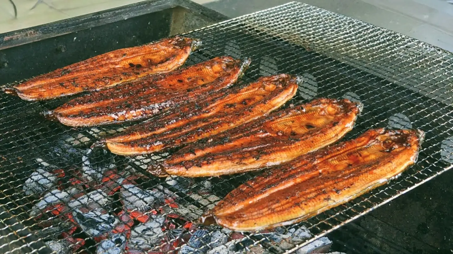 国産 うなぎ 蒲焼き 2尾 YK-01 