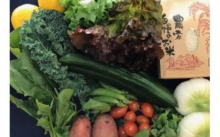 お米2合 野菜8～10品目セット 野菜 詰め合わせ MR-01