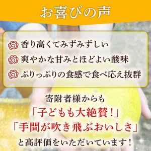 服部農園 土佐文旦  8個 贈答用 文旦 HT-06