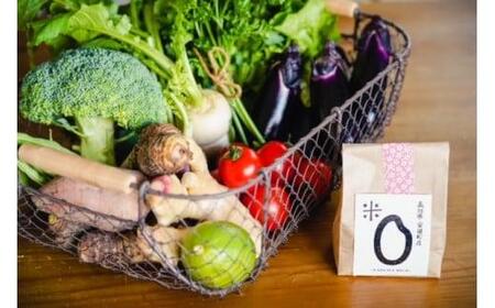 産地直送 旬の美味しい お米 野菜セット 2合 300g  6-8品 おまかせ 詰め合わせ MR-03