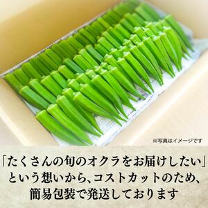 朝どれオクラ 1.2㎏ | オクラ YK-03