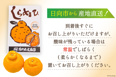 【期間限定発送】じゅわーっと甘い 不知火 約3kg（ハウス栽培・化粧箱入り）