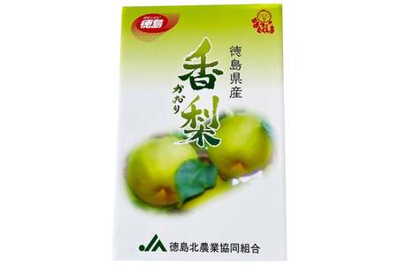 梨 香梨 １箱 約 5kg
