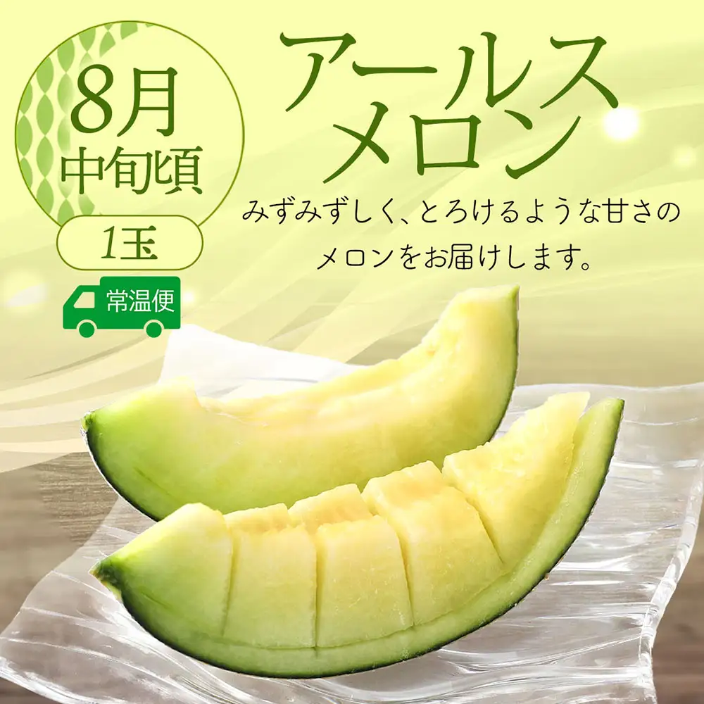 【R8.8月中旬より発送開始】食の都庄内 厳選フルーツ便C（入金期限：2026.7.31）アールスメロン 和梨 シャインマスカット 全3回配送 常温便 冷蔵便