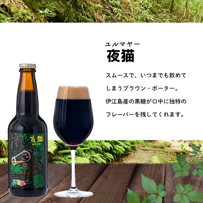 イルカの町のクラフトビール　6本セット クラフト クラフトビール ビール お酒 アルコール 瓶ビール オリジナル 人気 おすすめ オススメ 贈答 ギフト 贈り物 父の日 敬老の日 プレゼント 沖縄 乾杯 お祝い ランキング