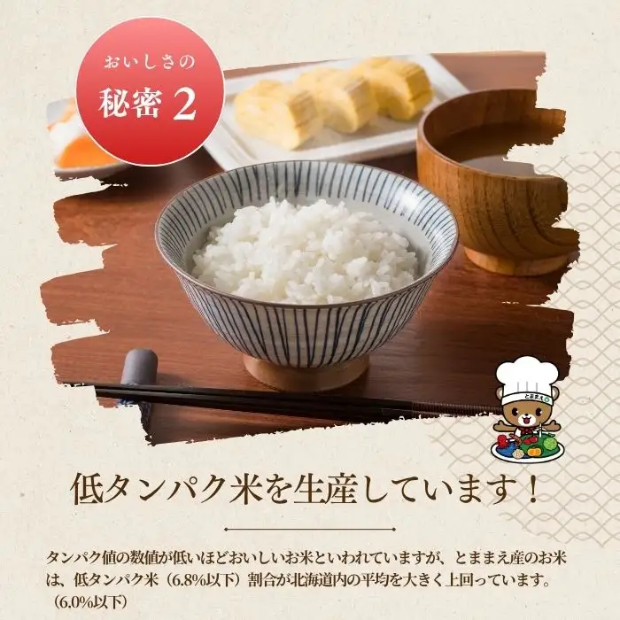 【令和8年産 新米先行受付】 北海道とままえ産 ななつぼし 10kg 【定期便 6か月】 米 お米 北海道産 北海道米 特Aランク 国産 白米 コメ 北海道 苫前町 とままえ rum38