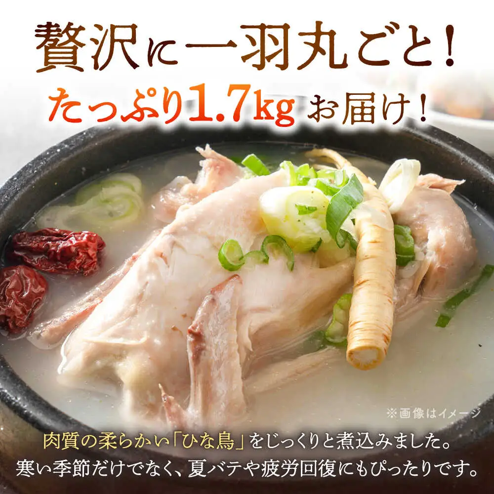 参鶏湯（サムゲタン）1羽分 [ADAE002] 大容量 おいしい 人気 鍋