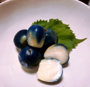 山形夏の漬物うす皮丸なす漬800g（160g×5袋）_E056(R8)