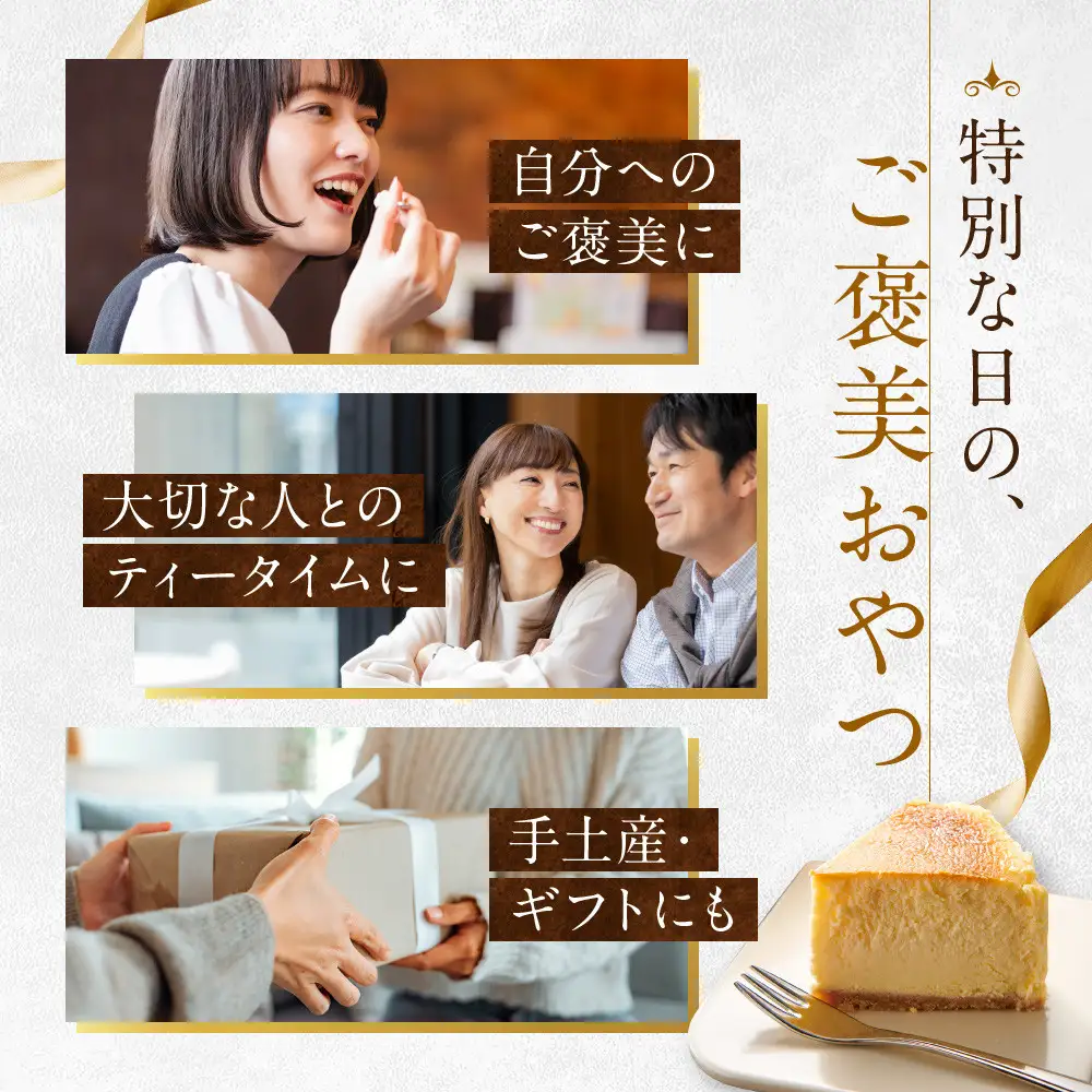 ティラミスチーズケーキ 軽井沢トルタ 長野 チーズケーキ ベイクドチーズケーキ |  ティラミス 長野 スイーツ デザート 人気 おすすめ 洋菓子  送料無料  長野県 長野市 信州 信濃 ふるさと納税