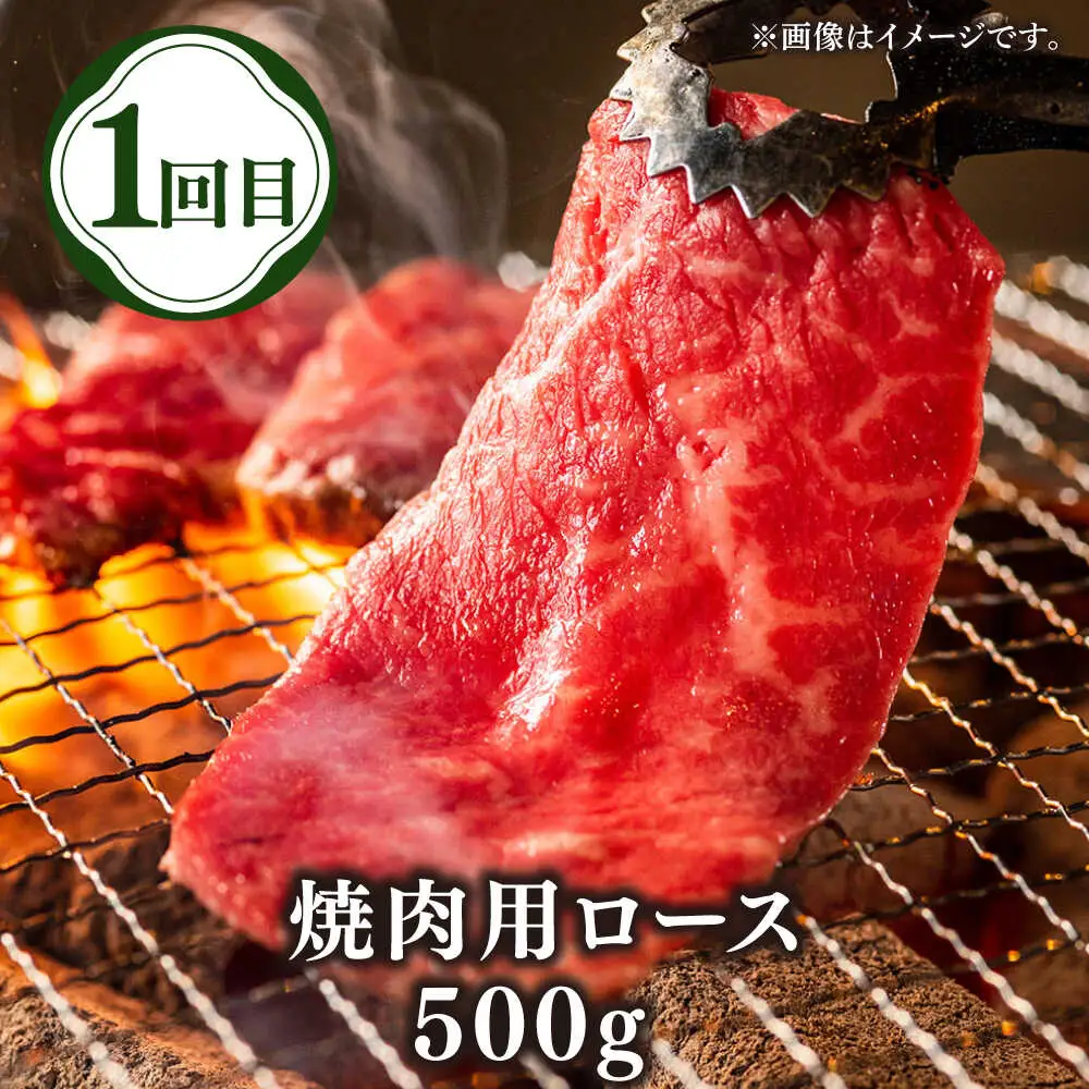 【全3回定期便】壱岐牛定期便（壱岐牛ステーキ、しゃぶすき、焼き肉セット）3人前《壱岐市》【壱岐市農業協同組合】壱岐牛 すき焼き ステーキ しゃぶしゃぶ 焼肉 [JBO166]