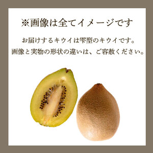【期間限定】ゴールドキウイ 2kg きうい 国産 落合農園 静岡県 牧之原市