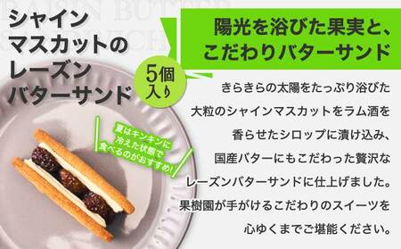 シャインマスカット レーズンバターサンド ラムレーズン クッキー 5個入り