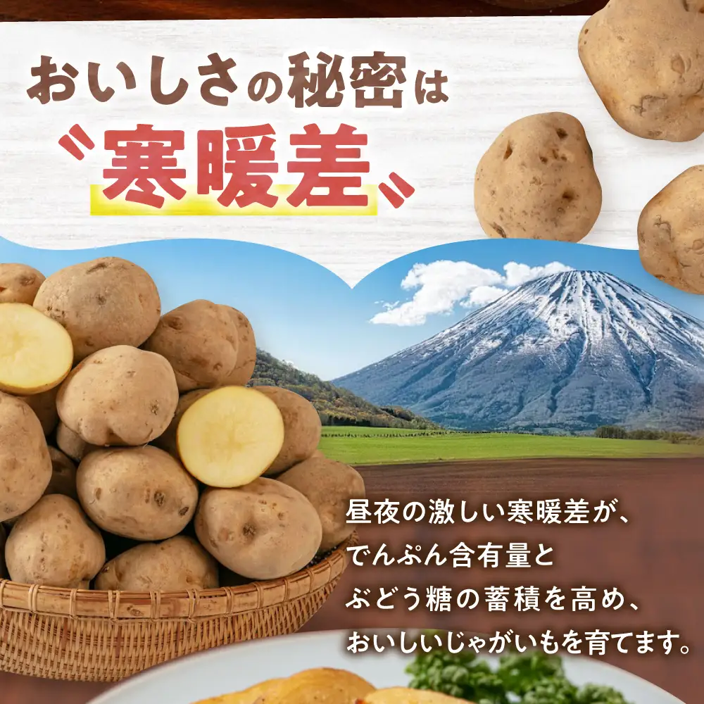 【ふるなびWEEK対象】じゃがいも 男爵芋 5kg  [AJAK027] じゃがいも