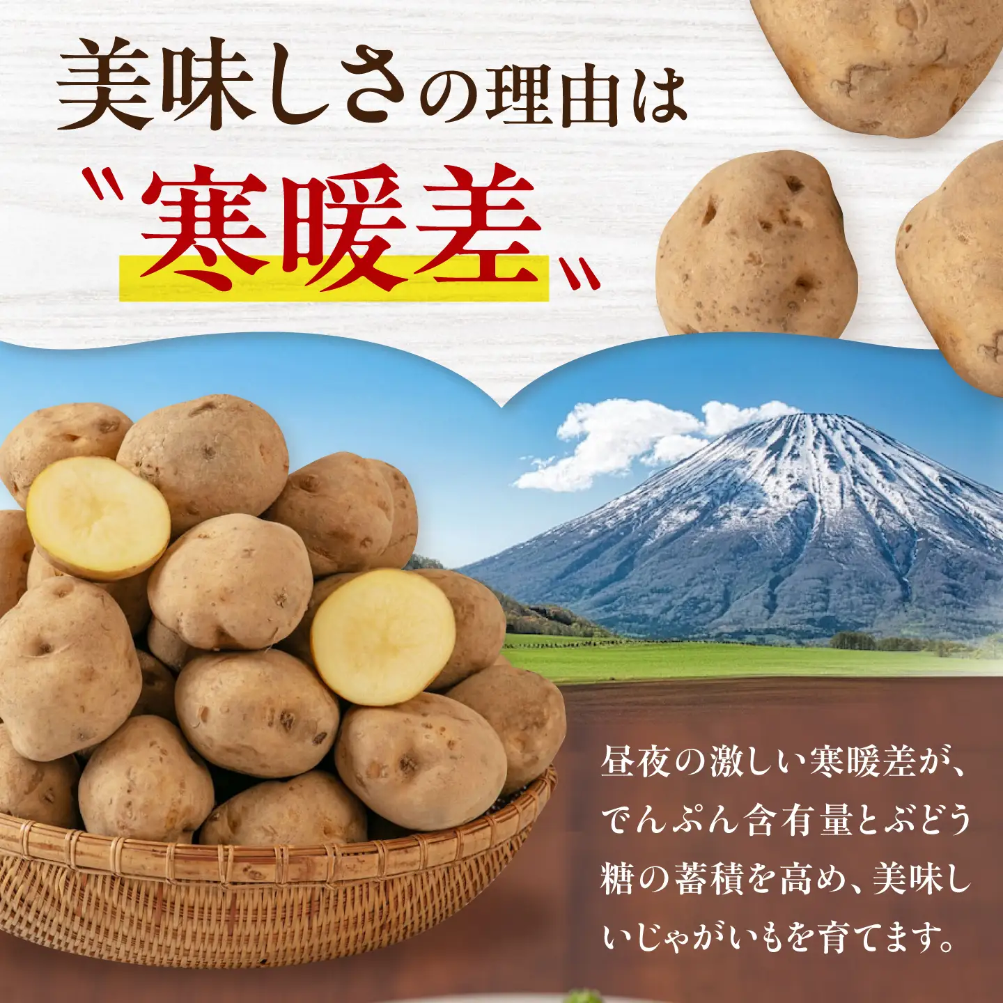 【ふるなびWEEK対象】じゃがいも 食べ比べセット 10kg [AJAK032] じゃがいも 