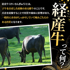 鹿児島県産 経産牛 切り落とし＆訳あり！豚切り落とし (総量3.2kg) 切り落とし 国産 鹿児島県産 豚肉 ブタ おかず 個包装 小分け 薄切り うす切り 冷凍 切り落し 切落し 牛肉 スライス 食べ比べ セット 【スターゼン】akn042-33