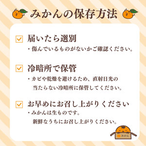 【 訳あり みかん 】 青島 みかん 5kg オレンジ みかん