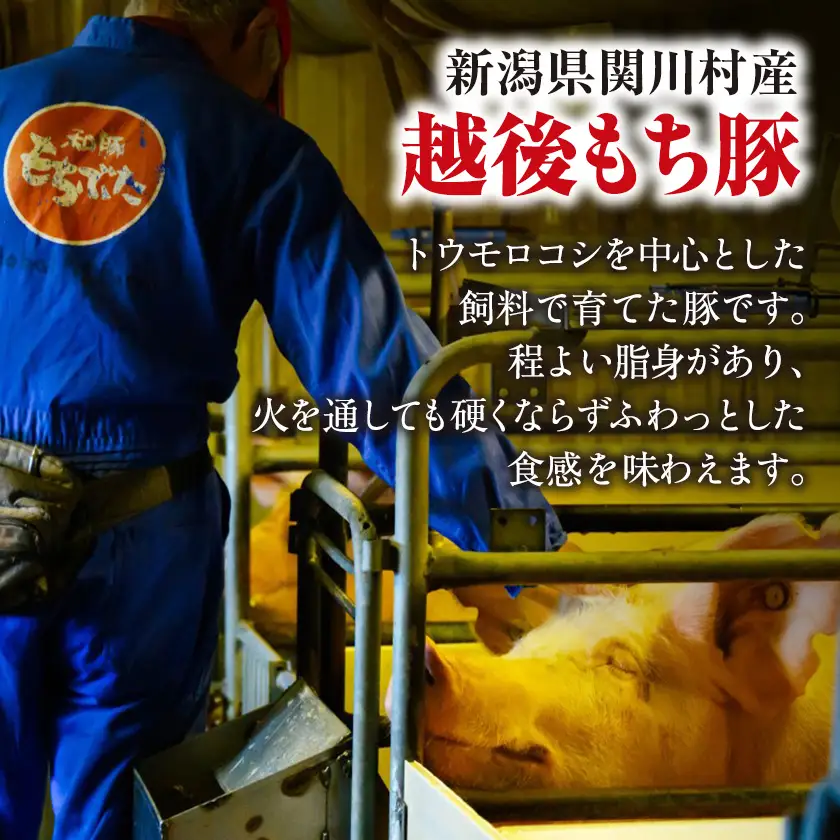 [小分けパックがうれしい] 越後もち豚肩ロース肉(しゃぶしゃぶ用) 合計900g_越後もち豚 肩ロース しゃぶしゃぶ_【配送不可地域：離島】【1644024】