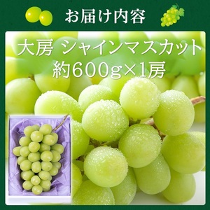 シャインマスカット 大房 高島屋選定品 岡山県産 シャインマスカット【約600g×1房】【先行予約】