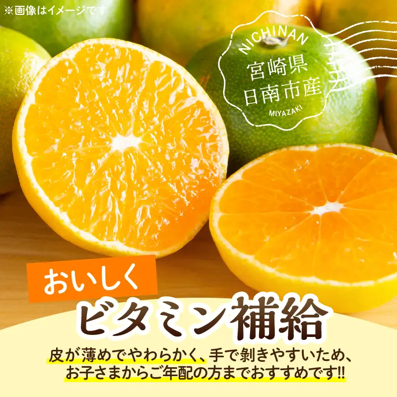 先行予約 早生みかん 計4.5kg 傷み補償分入り フルーツ_CV32-26