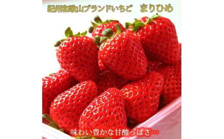 【全3回定期便】 フルーツ大国 和歌山 よりお届け！旬の フルーツ 定期便 B【田村みかん・まりひめ・紀州デコ】 / みかん いちご 甘い 定期便 ※離島配送不可