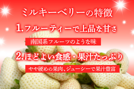 [先行予約] 日光産 プレミアムいちご「スカイベリー」＆「ミルキーベリー」 約300g×2パック 計約600g 【2027年1月中旬から順次発送】 [0973]
