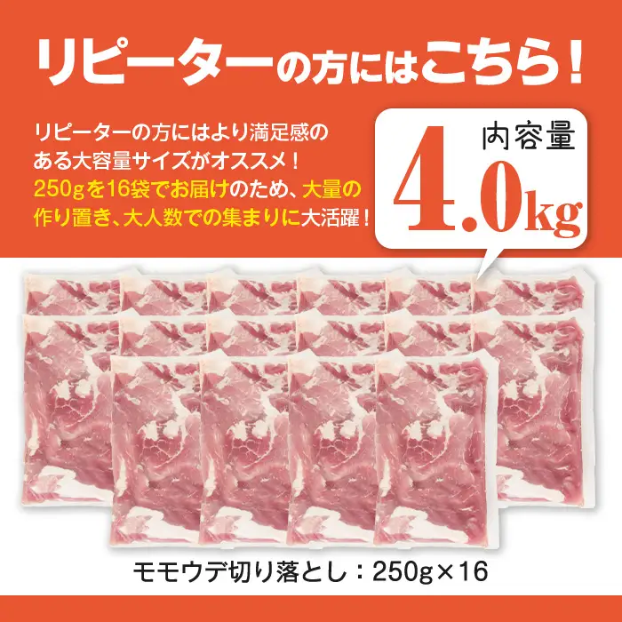 豚肉 切り落とし 鹿児島県産  (計4.0kg) 【豚肉 切り落とし】 【Rana】A1017-v02