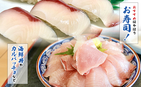 ＜訳あり 超冷薫 冷凍ぶりスライス 合計80枚（10g 10枚入り×8パック）3カ月定期便＞ブリ 鰤 魚介類 水産物 海鮮 海産物 国産 新鮮 刺身 寿司 丼 血抜き 株式会社SakuSaku 愛媛県 西予市 【冷凍】『1か月以内に初回発送予定』USA0014