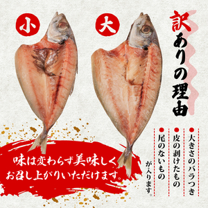 【訳あり】 干物 約3.4kg アジ 干物